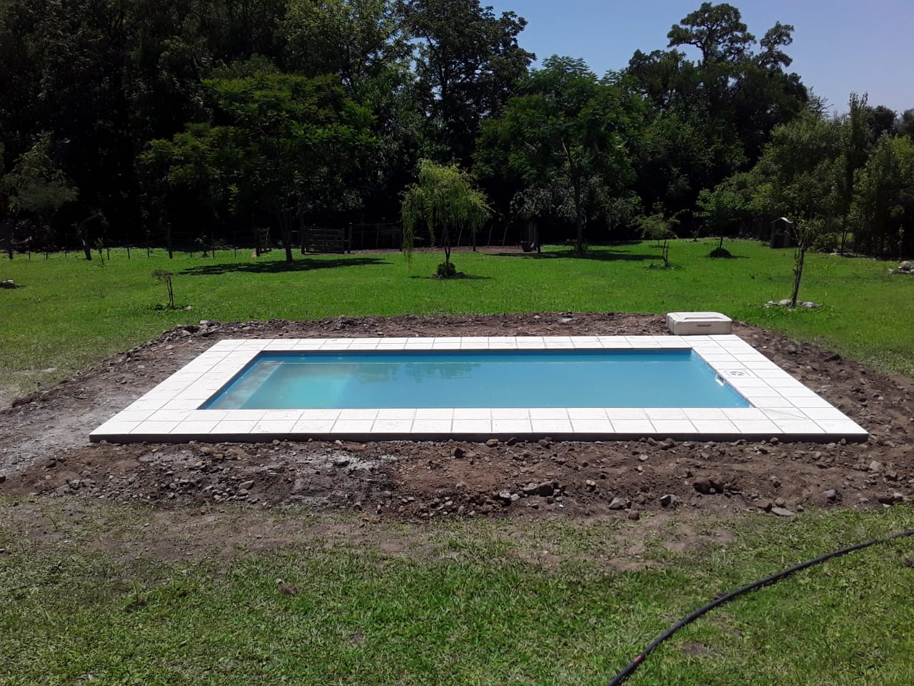 Piscina rectangular con entorno verde