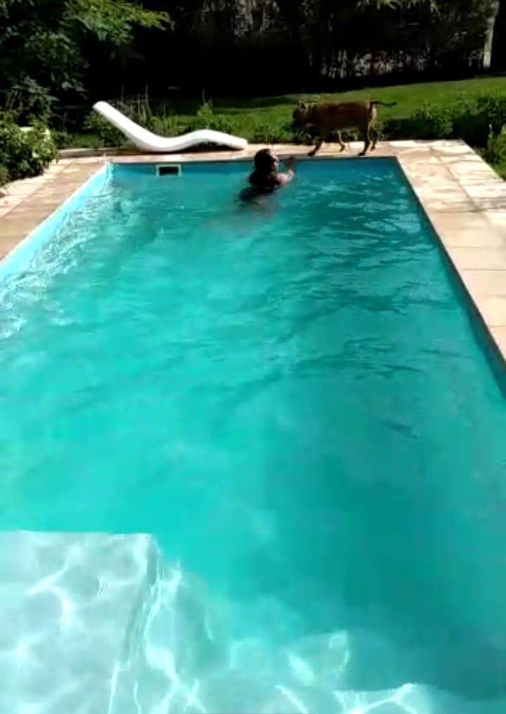 Piscina residencial en uso